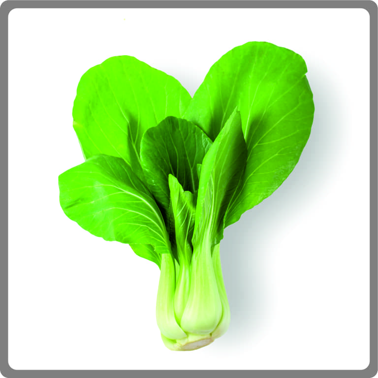 Pakchoi