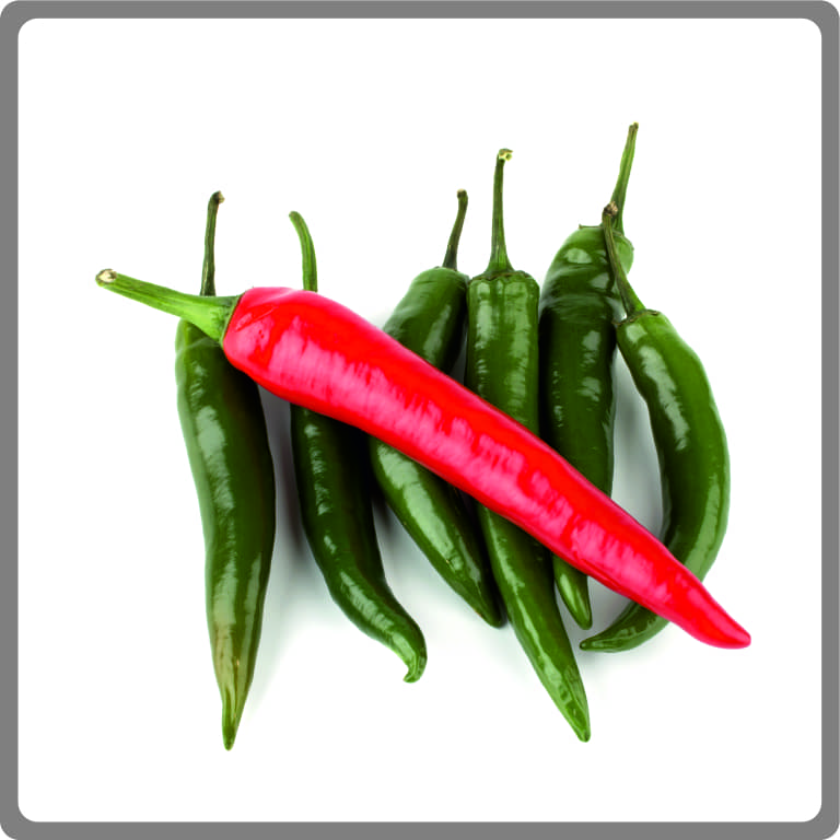 Hot Pepper