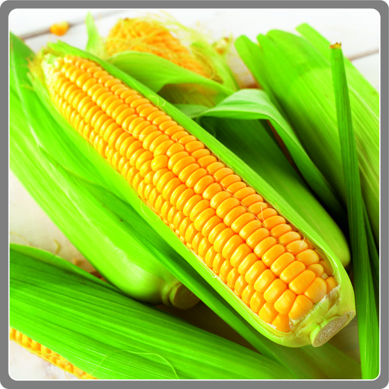 Sweet Corn