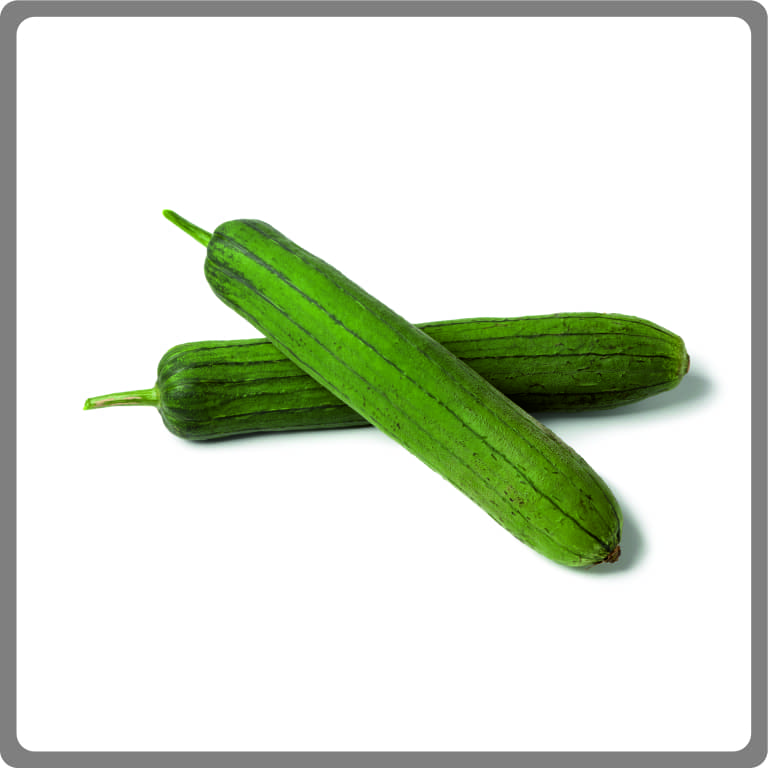 Sponge Gourd
