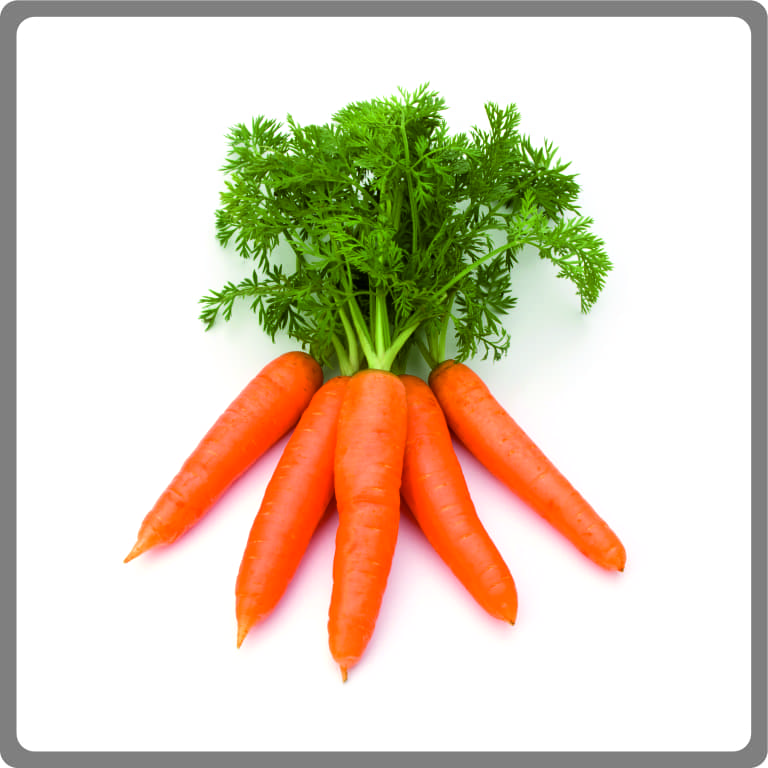 Carrot