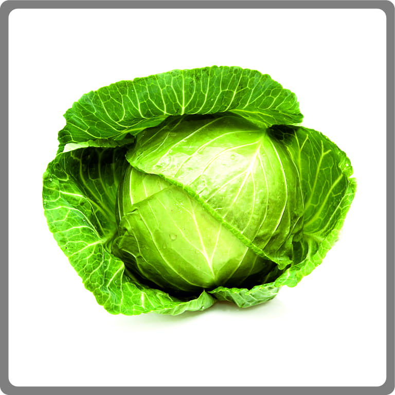 Cabbage