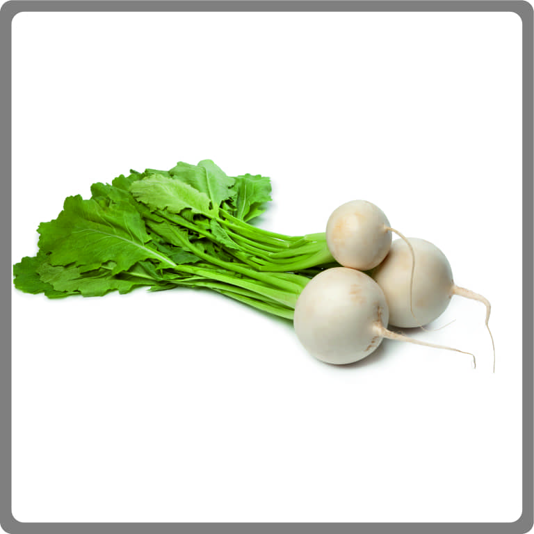 Turnip