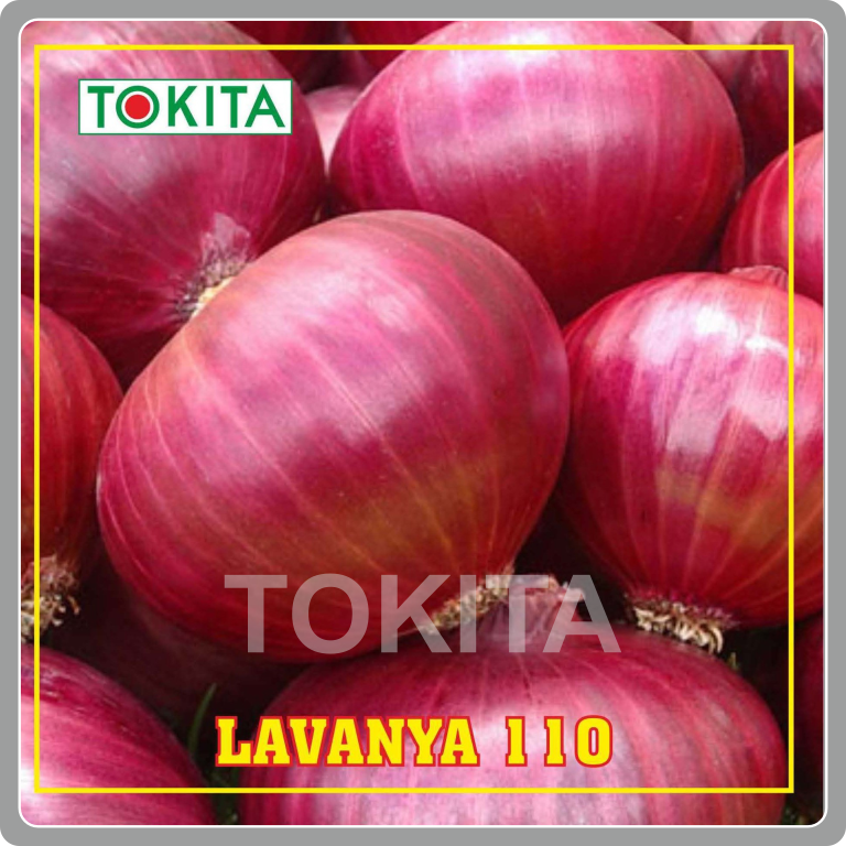 Lavanya 110