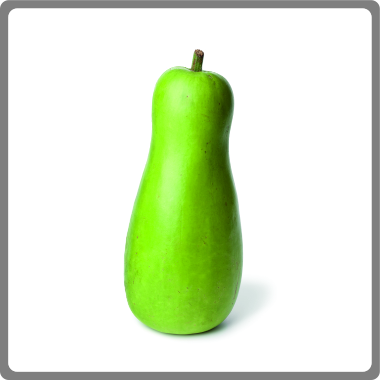 Bottle Gourd