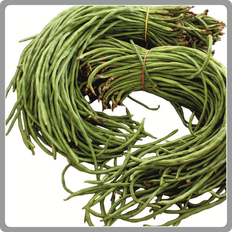 Yard Long Bean