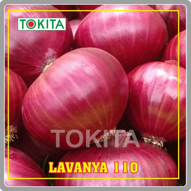 Lavanya 110