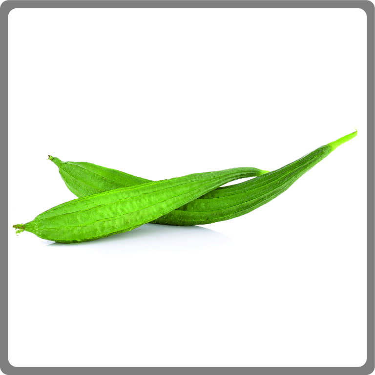 Ridge Gourd